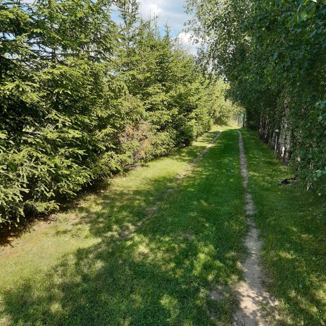 Domek W Kwiatach Zyndaki Экстерьер фото